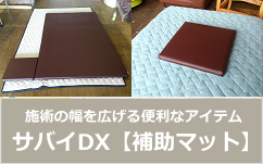 19500円買取オンライン 最大半額 サバイDX 【for オイル】◇セミダブル